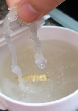 Hình của món Chưng yến.