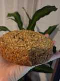 Mini torta de avena y manzana