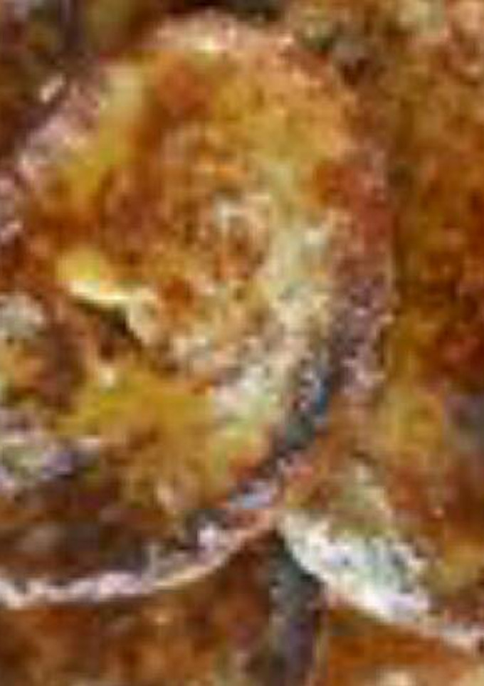 Una foto de Torrijas