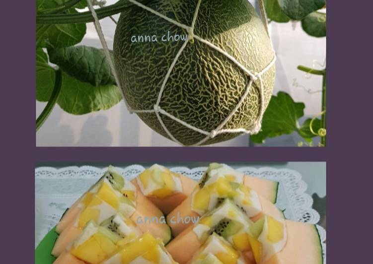 Puding Melon
