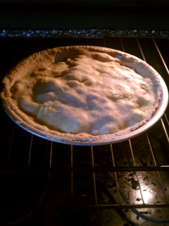A picture of Meat Pie.