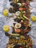 Shellout