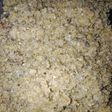 Breakfast panjeeri vs halwa