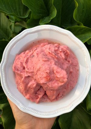 Foto di Gelato veloce e senza gelatiera