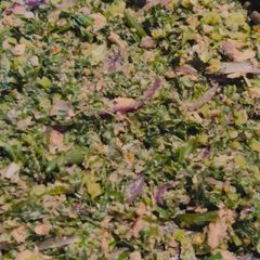 A picture of Mustard leaves with sardines mix stir fry.