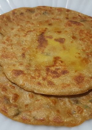 A picture of No Dough Garlic Paratha !.