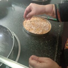 A picture of Rava Barfi.