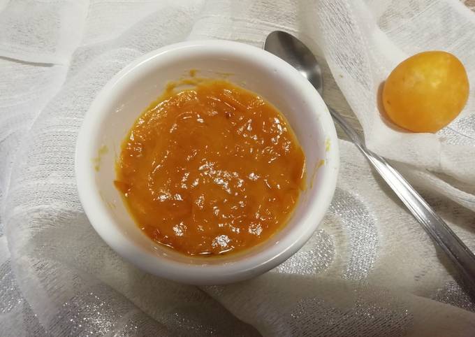 Ricetta di Perfetto Salsina di prugne per arrosti