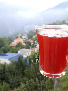 عکسی از دستور چای زغال اخته
