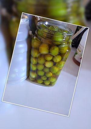 عکسی از دستور بفرمایید ترشی گوجه سبز