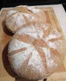 Pan de campo integral