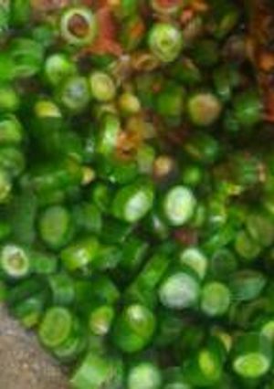 Foto resep Karedok KacPang aLias Kacang Panjang Seuhaaahh 😨😋