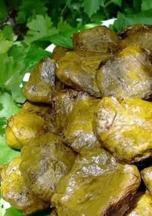 عکسی از دستور دلمه برگ مو