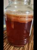 Kombucha Scoby