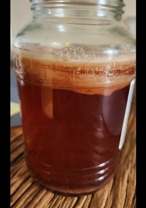 A picture of Kombucha Scoby.