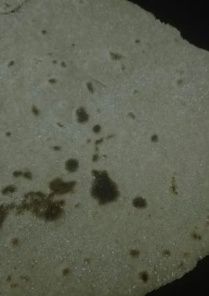 صورة لوصفة خبز شباتي بدقيق البر