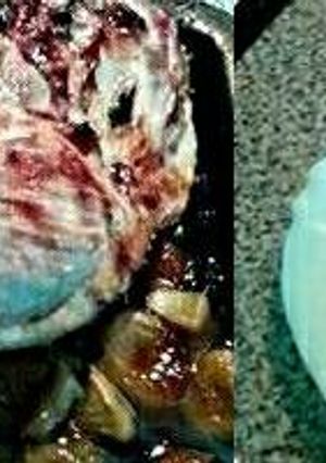 Una foto de Pernil de cerdo a la miel con pasas y orejones