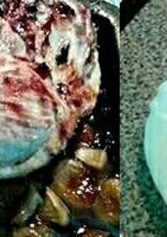 Una foto de Pernil de cerdo a la miel con pasas y orejones