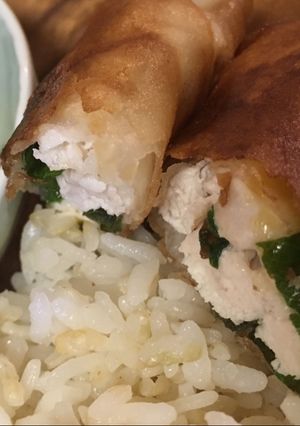 A picture of Spring rolls (shiso + umeboshi + sea weed).