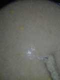 Meetha Daliya
