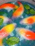 Puding kolam ikan koi