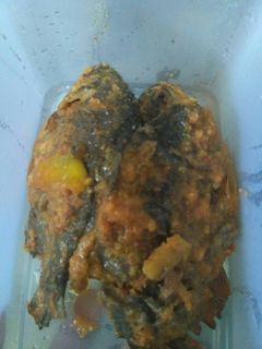 Foto resep Balado Ikan Bawal