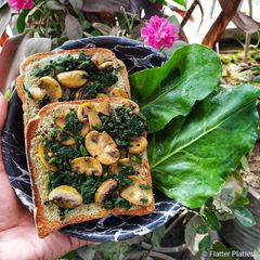 Mushroom Spinach Toast A picture of Mushroom Spinach Toast.