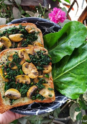 A picture of Mushroom Spinach Toast.