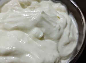 Foto principal de Lactonesa o mayonesa sin huevo
