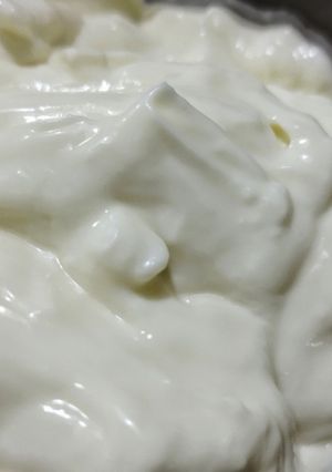 Una foto de Lactonesa o mayonesa sin huevo
