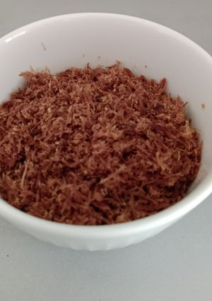 Foto resep Abon Sapi