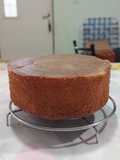 Torta Matera