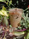 Creamy Latte Cincau