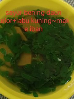 Foto resep Sayur Bening Daun Kelor Labu Kuning