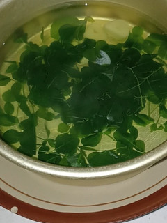 Foto resep Sayur bening daun kelor