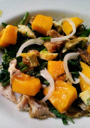 A picture of Chicken Mango Salad.