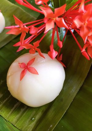 Hình của món Bánh qui nhân đậu xanh.