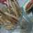 Stick Bawang