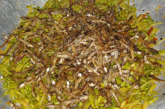 Resep Tumis kembang kates topping teri yahudd yang Lezat Sekali