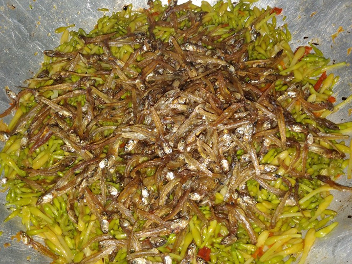 Resep Tumis kembang kates topping teri yahudd yang Lezat Sekali