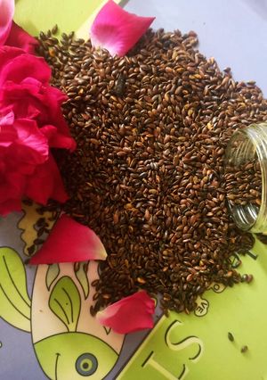 A picture of Mukhwas flaxseed.