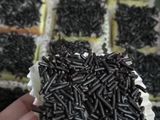 Bolu potong