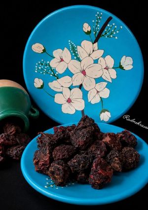 عکسی از دستور آلو خشک