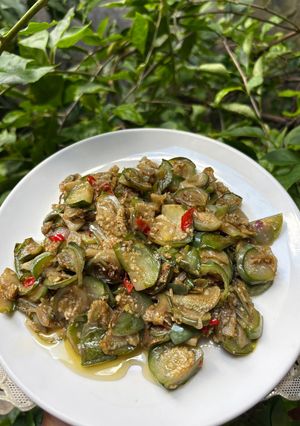 Foto resep Tumis terong bulet