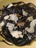 Linguini al nero aglio e olio