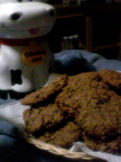 A picture of Oatmeal cranberry/raisin cookies.