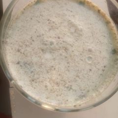 A picture of Mint Buttermilk.