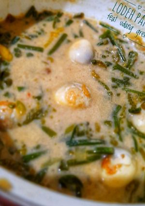 Foto resep Lodeh Pakis feat udang gremut