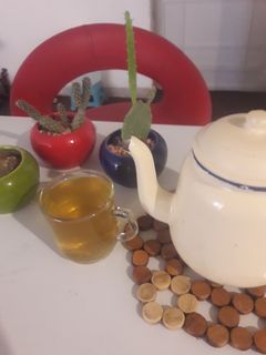 عکسی از دستور دمنوش بابونه و دارچین