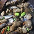 Tumis Jamur